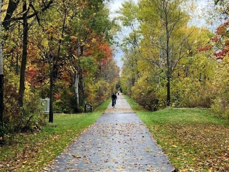 fonthill-neighbourhood